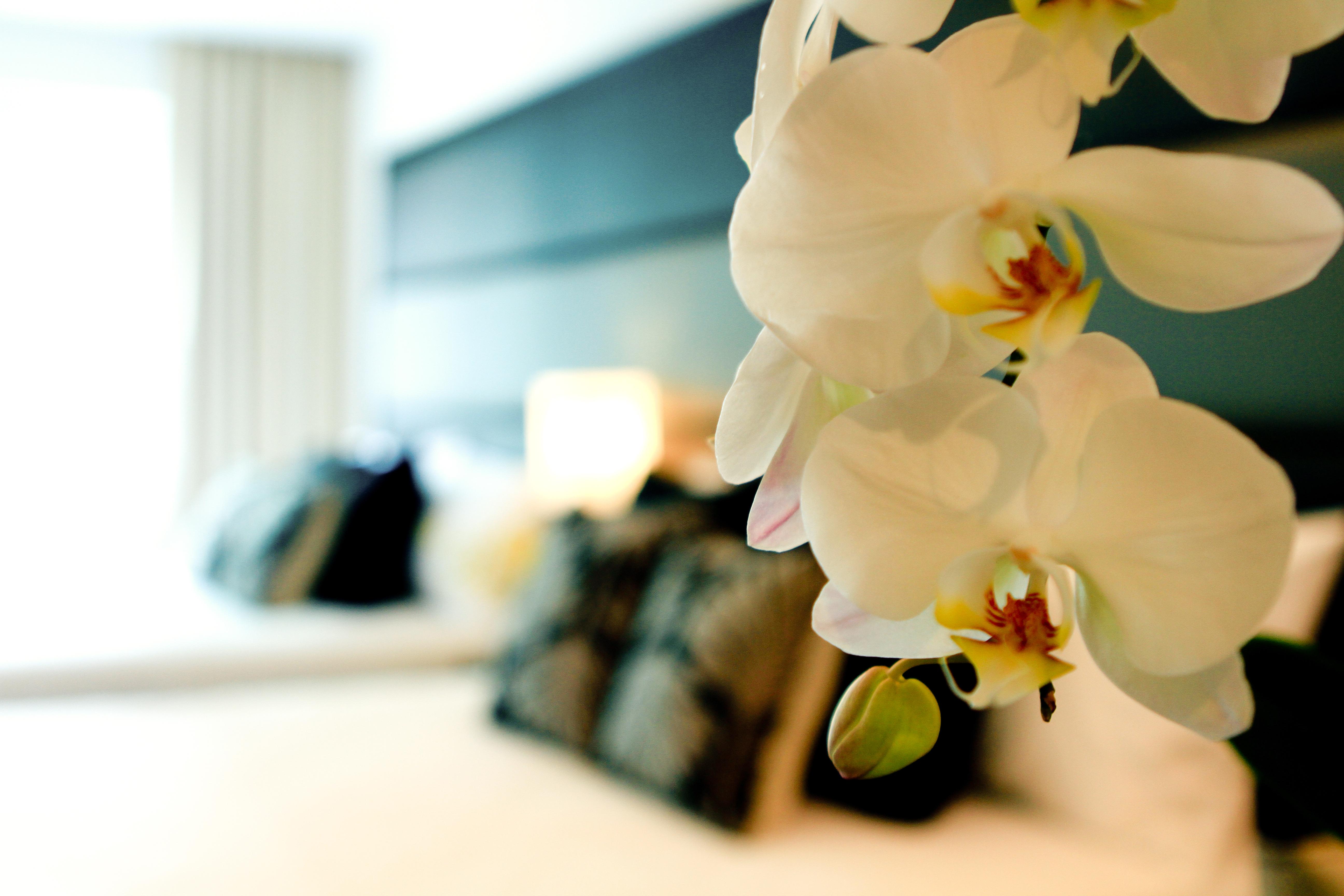 Privato Ortigas Hotell Pasig City Eksteriør bilde
